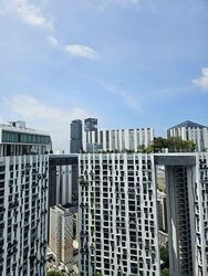 Blk 1D The Pinnacle@Duxton (Bukit Merah), HDB 5 Rooms #596577471